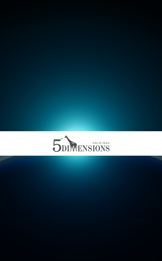 5Dimensions Holdings